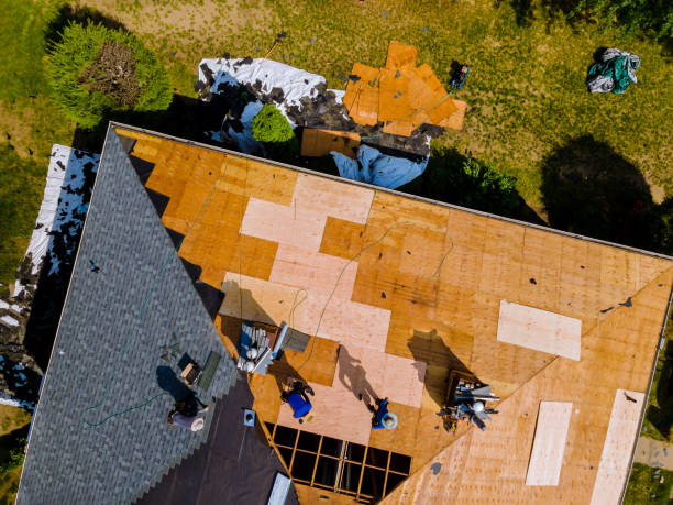 Best Flat Roof Repair Services  in Harrisburg, IL