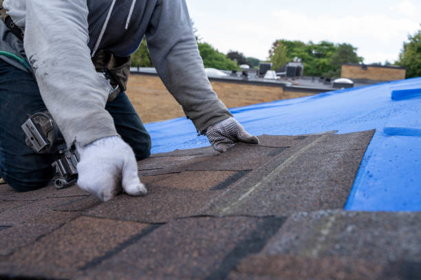 Best Roof Replacement Cost  in Harrisburg, IL