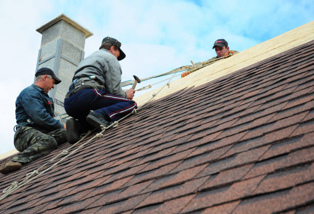 Best New Roof Installation  in Harrisburg, IL